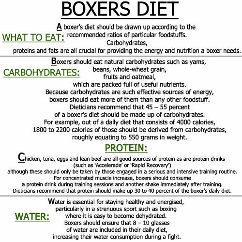 boxer diet plan